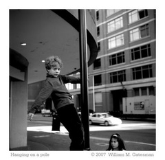 normal Pole Climber Web